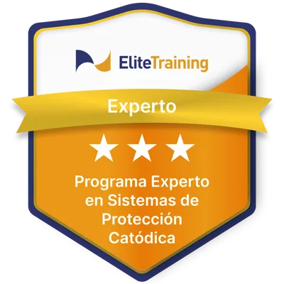 Insignia Elite Training